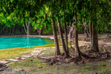 Similar image 20071587