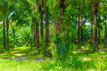 Similar image 20071588