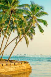 Similar image 20071592