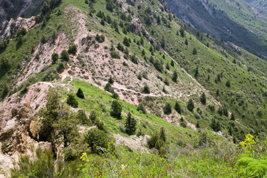 Similar image 19973149