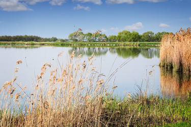 Similar image 20161136