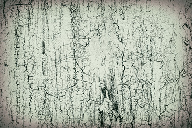 Similar image 20161137