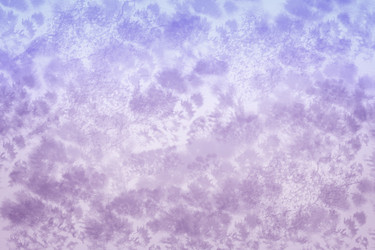 Similar image 20161139