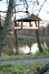 Similar image 20105661