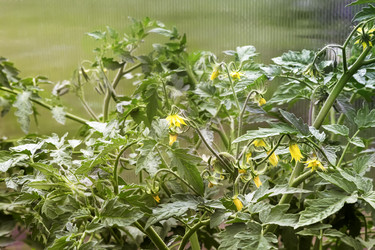 Similar image 20161109