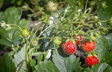 Similar image 20161110