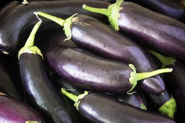 Similar image 20158609