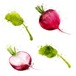 Similar image 20108977