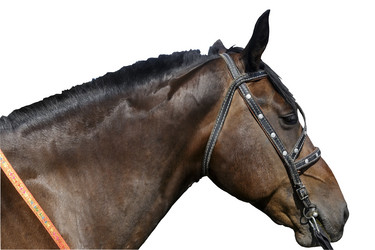 Similar image 20161071