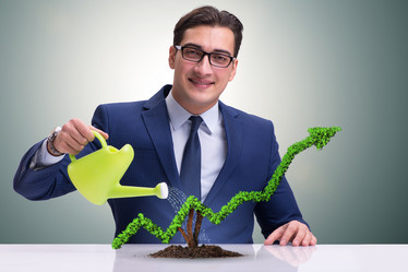 Similar image 20150554