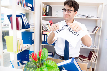 Similar image 20151072