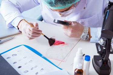 Similar image 20151094