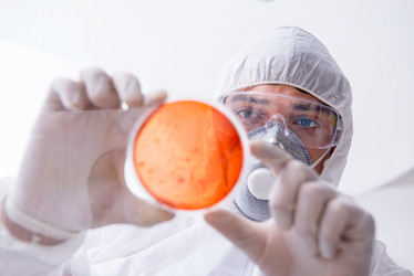 Similar image 20151252