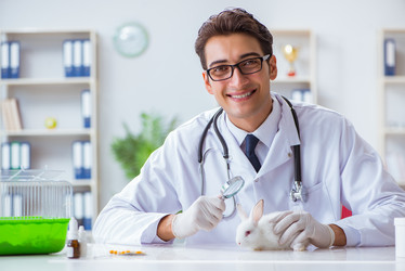 Similar image 20151426