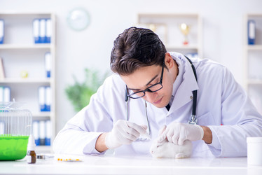 Similar image 20151447