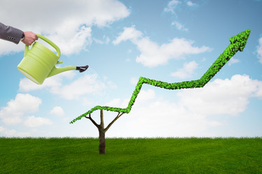 Similar image 20151635