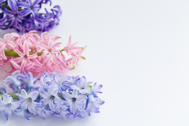 Similar image 19944908