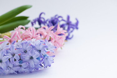 Similar image 19944925