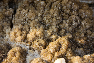 Similar image 20160781