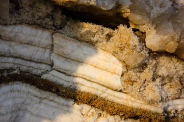 Similar image 20160782