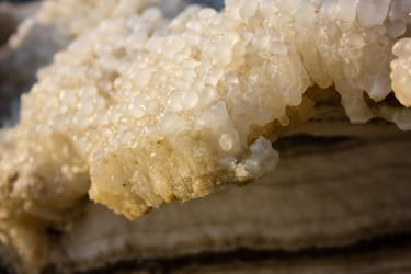 Similar image 20160783