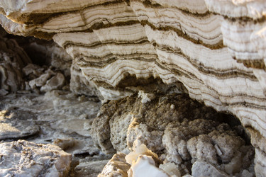 Similar image 20160785