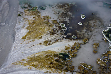 Similar image 20160669