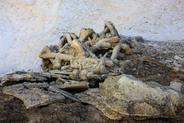 Similar image 20160683