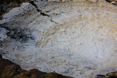 Similar image 20160684