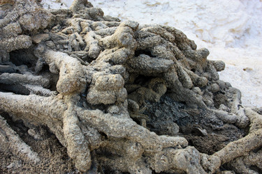 Similar image 20160711