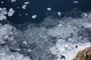 Similar image 20160742