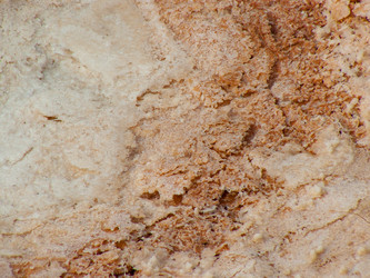 Similar image 20160787