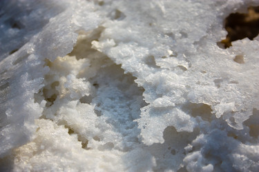 Similar image 20160664