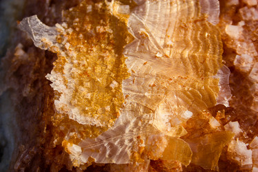 Similar image 20160675