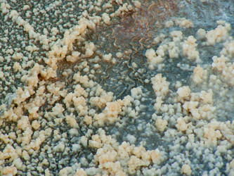 Similar image 20160676