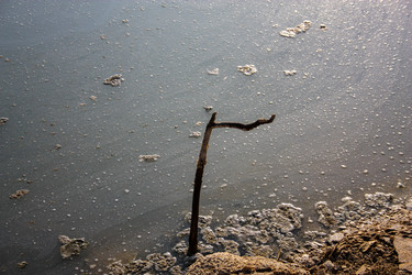 Similar image 20160688