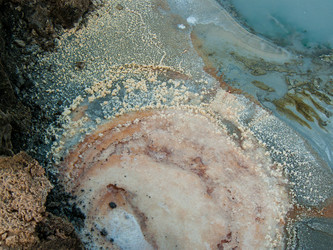 Similar image 20160716