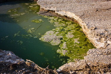 Similar image 20160717