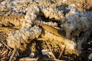 Similar image 20160719