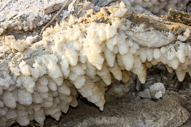 Similar image 20160733