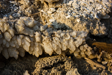 Similar image 20160735