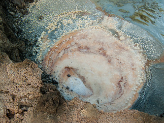 Similar image 20160736