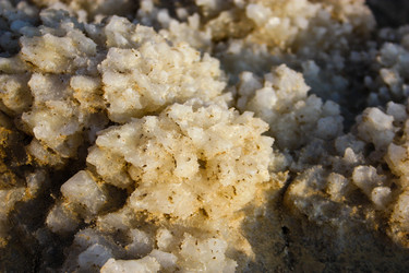 Similar image 20160738