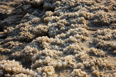 Similar image 20160739