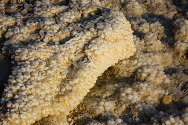 Similar image 20160749