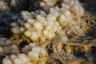 Similar image 20160750