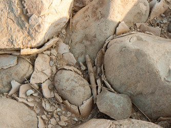 Similar image 20160751