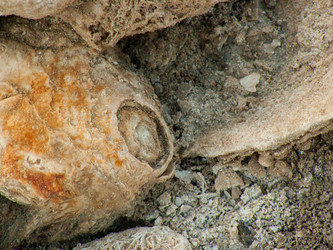 Similar image 20160753