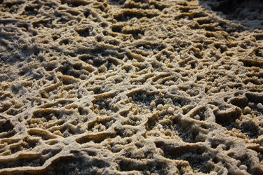 Similar image 20160754