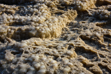 Similar image 20160755